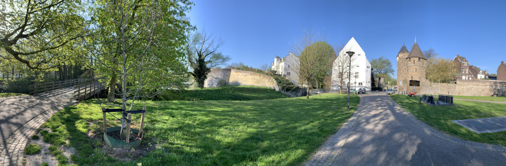 IMG_4080_back3